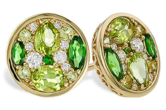 B310-95117: EARR 1.03 TW SEMI-PRECIOUS (TSAV, PER) 1.19 TGW