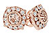 C224-58753: EARR .75 MORGANITE .98 TGW