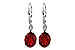 D226-45107: EARR 3.45 TW GARNET 3.50 TGW (9x7MM GAR)