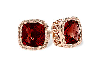 D309-09726: EARR 2.50 TW GARNET