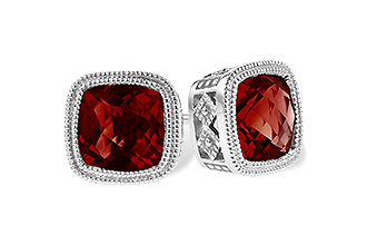D309-09726: EARR 2.50 TW GARNET