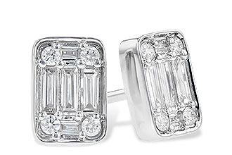 D309-10635: EARR .19 BAG .30 TW