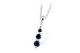 E223-67880: NECK .55 SAPP .60 TGW
