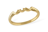 F041-85116: LDS WED RG