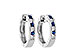 G037-30553: EARRINGS .16 SAPP .26 TGW