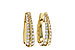 H310-94262: EARRINGS 1.00 TW