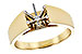 L309-16089: LDS SEMI RG
