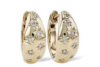 M311-82425: EARRINGS .17 TW